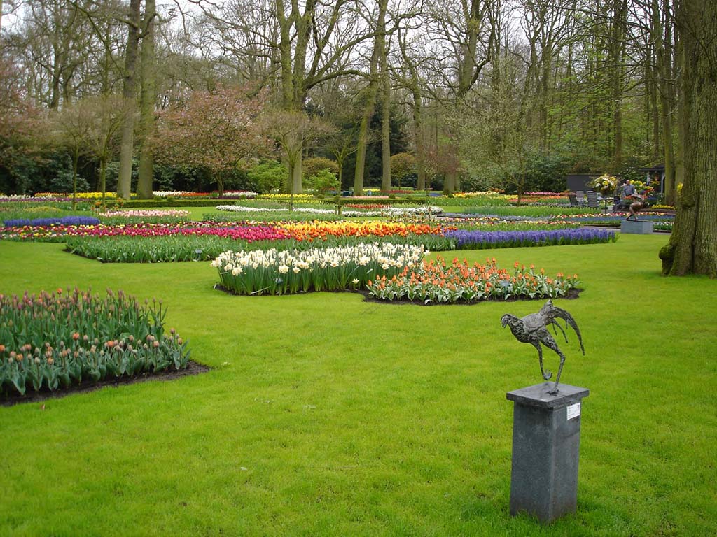 Tulip Garden, Holland